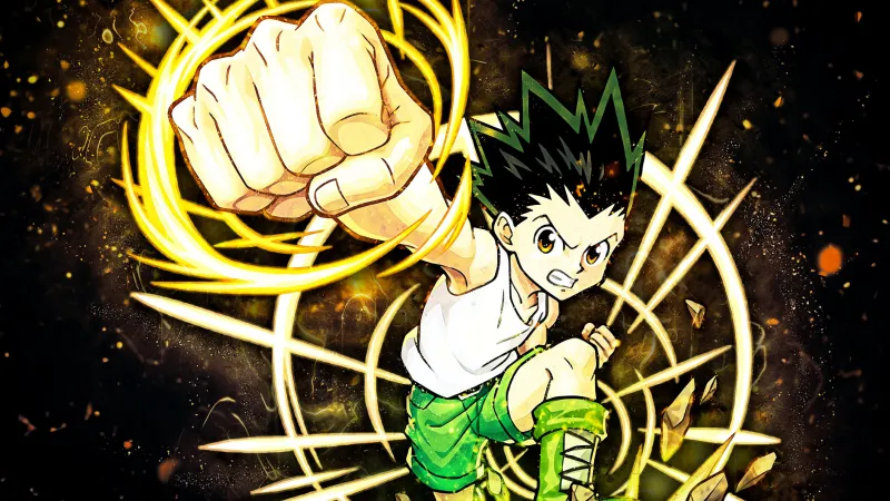 image2 3 - Hunter X Hunter Shop